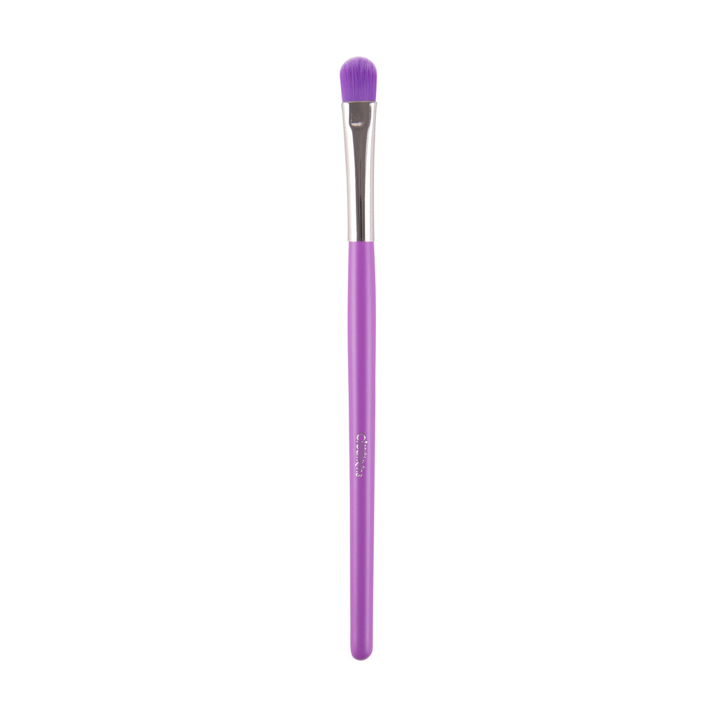 Beauty Creations - The Neon Purple 24 pc Brush Set